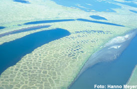 Luftaufnahme einer typischen sibirischen polygonalen Tundren-Landschaft im Yana-Delta